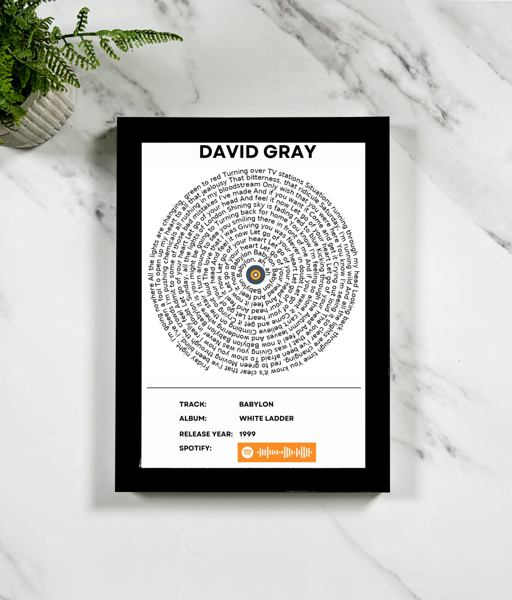 David Gray - Babylon - Image 2